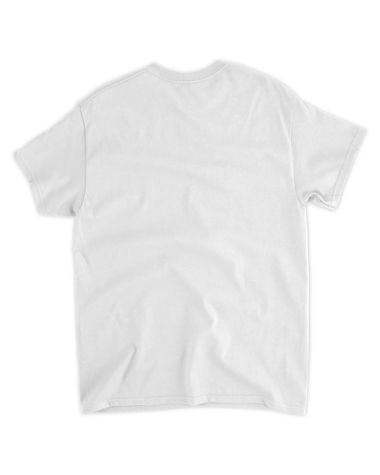 I hate taxes shirt