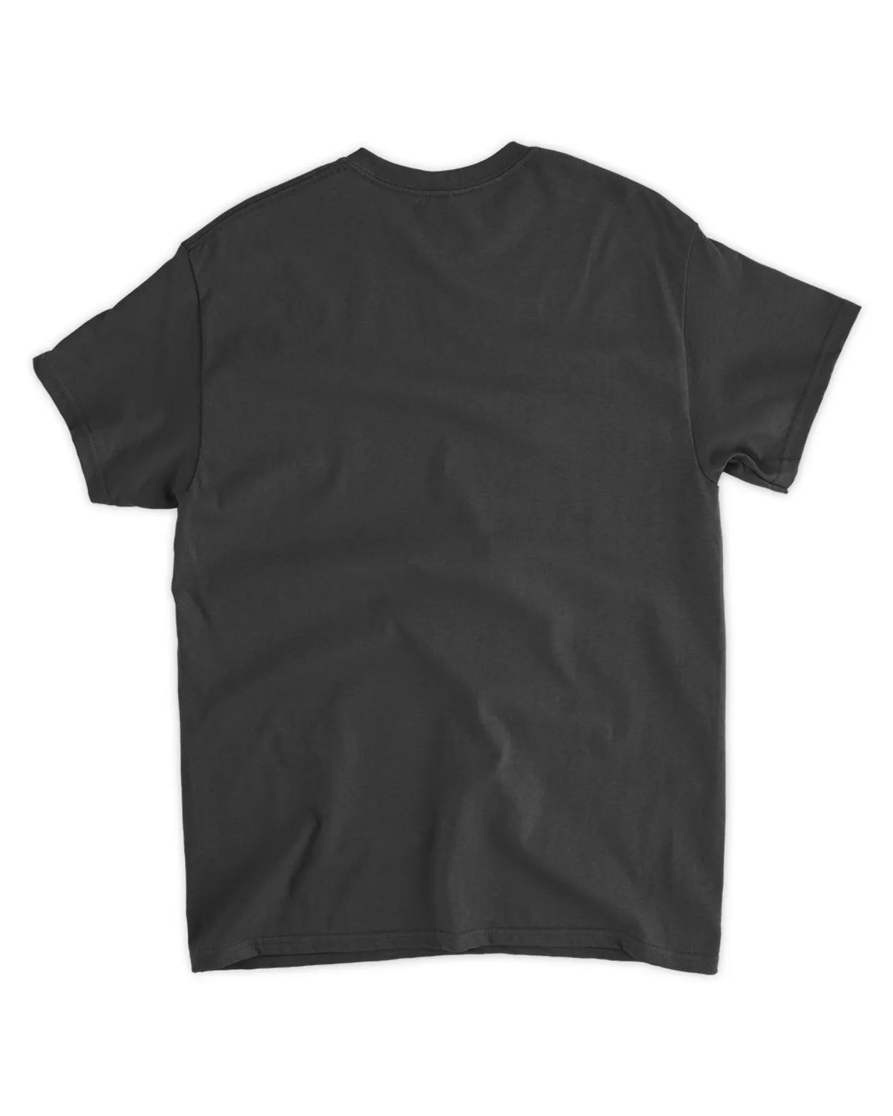 I hate taxes shirt