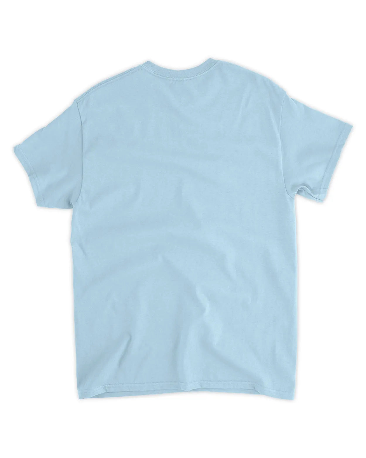 I hate taxes shirt