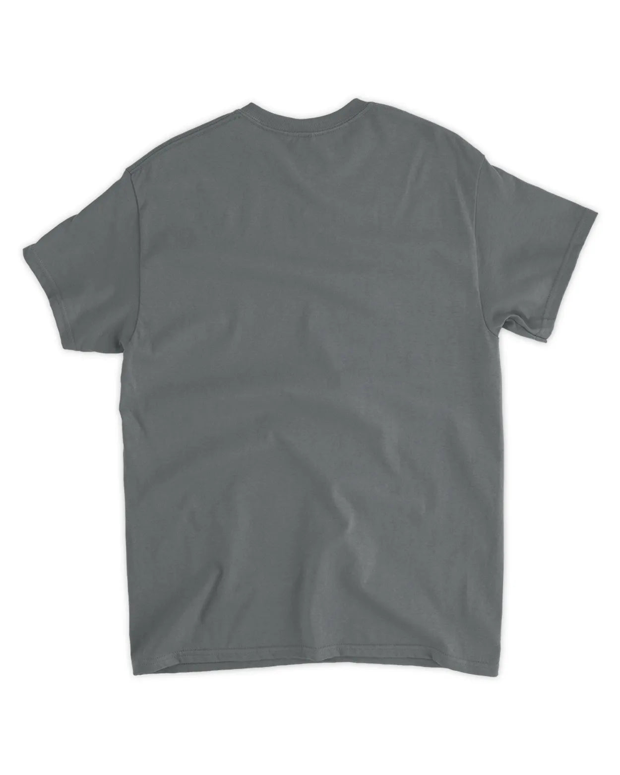 I hate taxes shirt