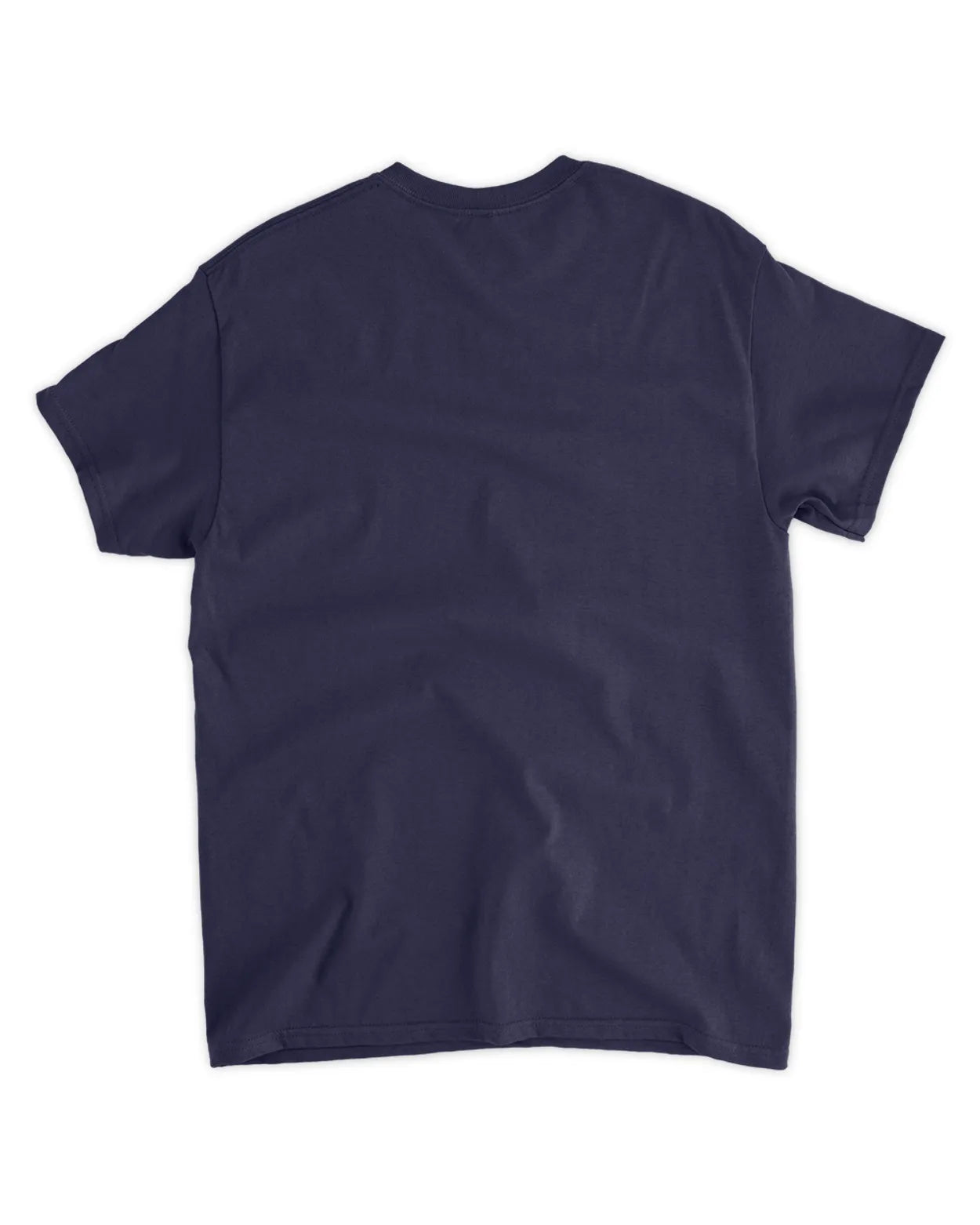 I hate taxes shirt