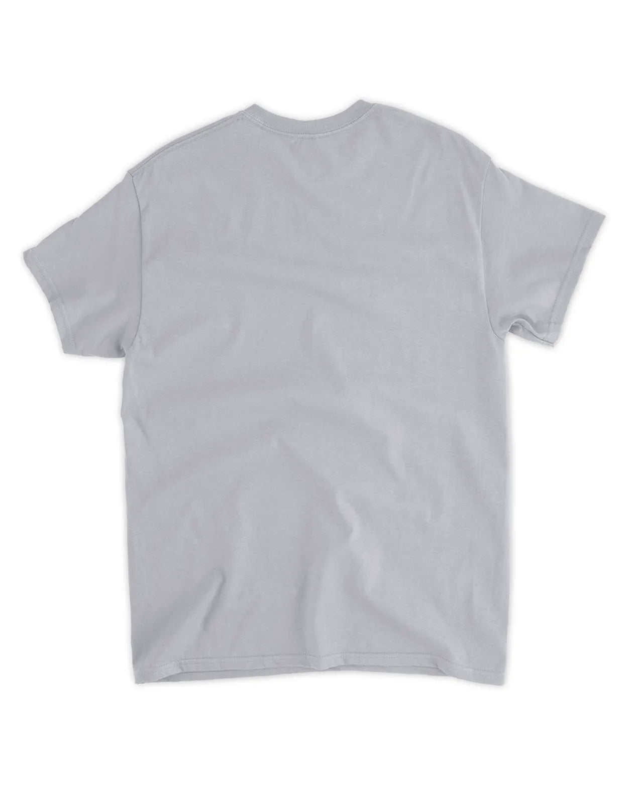 I hate taxes shirt